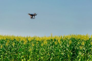 Como O Uso Do Drone Pulverizador Ajuda No Manejo Agrícola