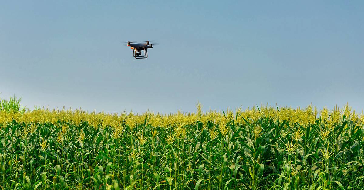 Como O Uso Do Drone Pulverizador Ajuda No Manejo Agrícola