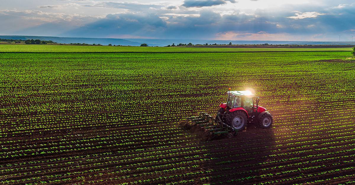 Entenda por que agricultores e consultores agrícolas de sucesso recomendam o uso do K Forte® e do BAKS®