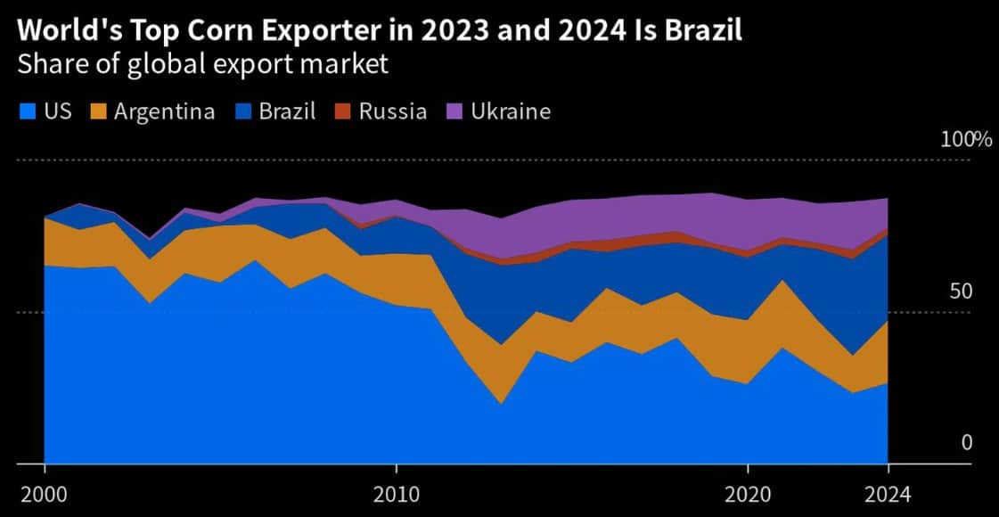 O Brasil Assume A Liderança Da Exportação De Milho Em 2023 E Deve Manter A Posição Em 2024