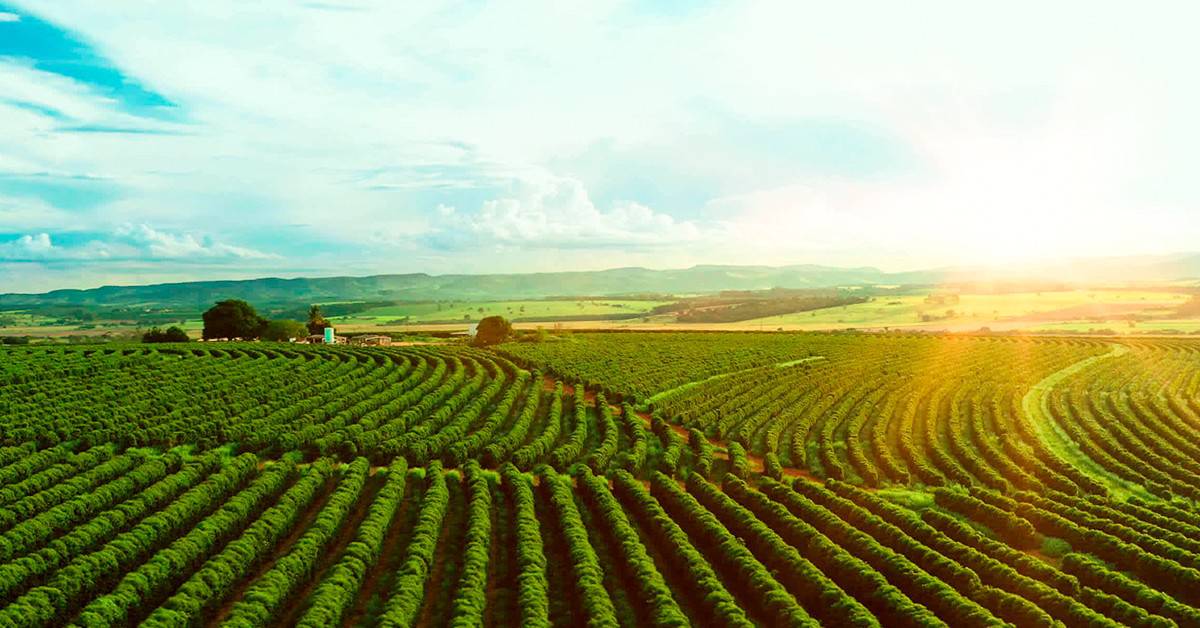 Veja os textos publicados no Blog da Verde Agritech na semana do dia 11/09 a 15/09! - Veja os textos publicados no Blog da Verde Agritech na semana do dia 11 09 a 15 09