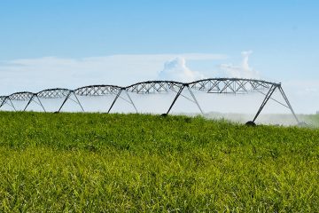 Por Que Fazer Uma Boa Irrigação Na Cana-De-Açúcar É Importante?