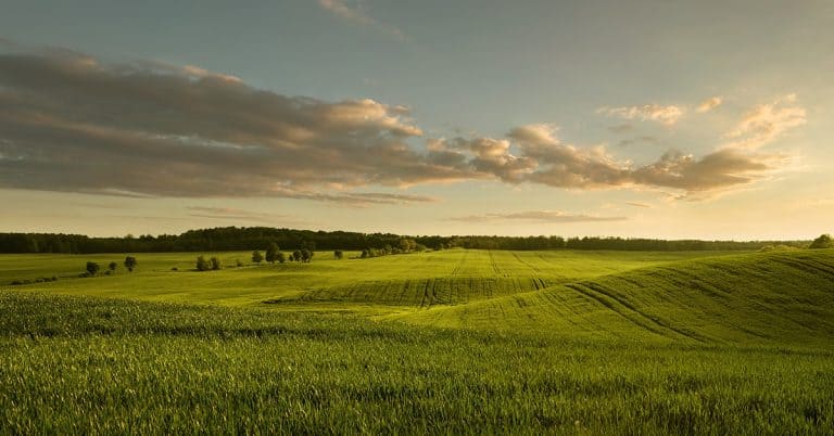 Veja os textos publicados no Blog da Verde Agritech na semana do dia 16/10 a 20/10!