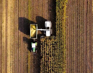 Milho Ucraniano Pode Ganhar Ainda Mais Atrativos No Mercado Internacional, Destacam As Notícias Agrícolas