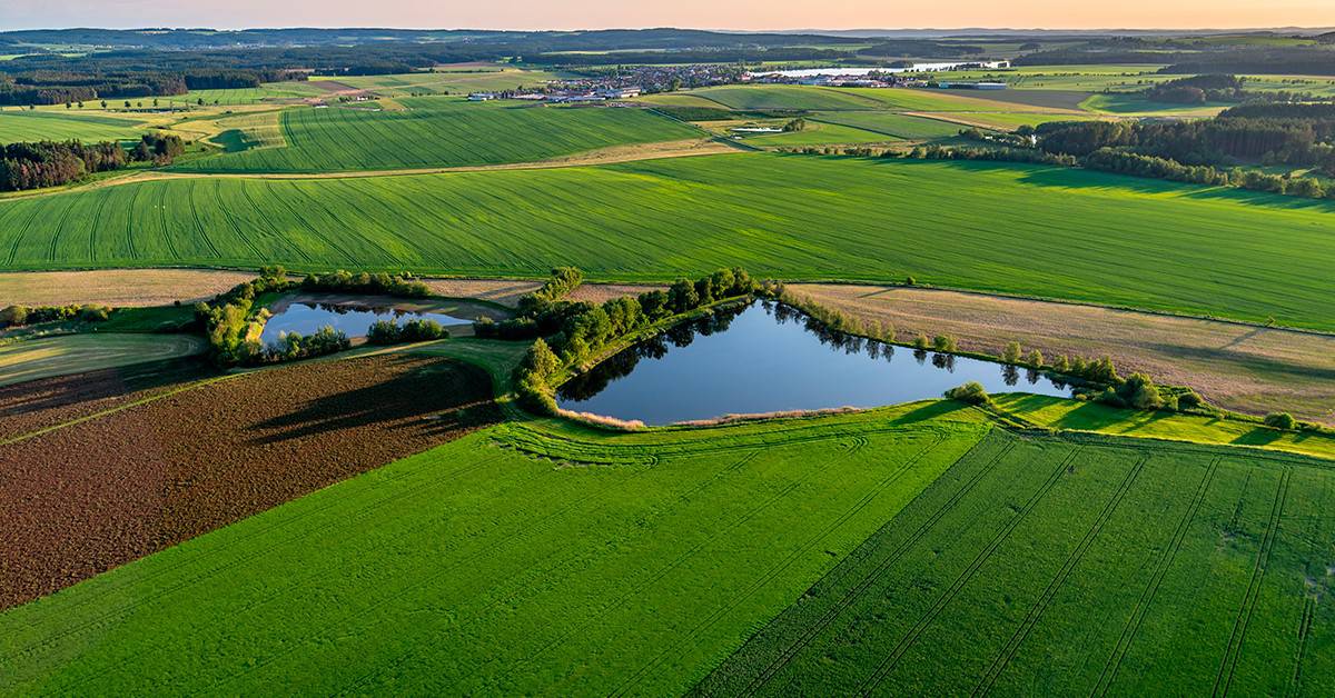 Veja os textos publicados no Blog da Verde Agritech na semana do dia 20/11 a 24/11!