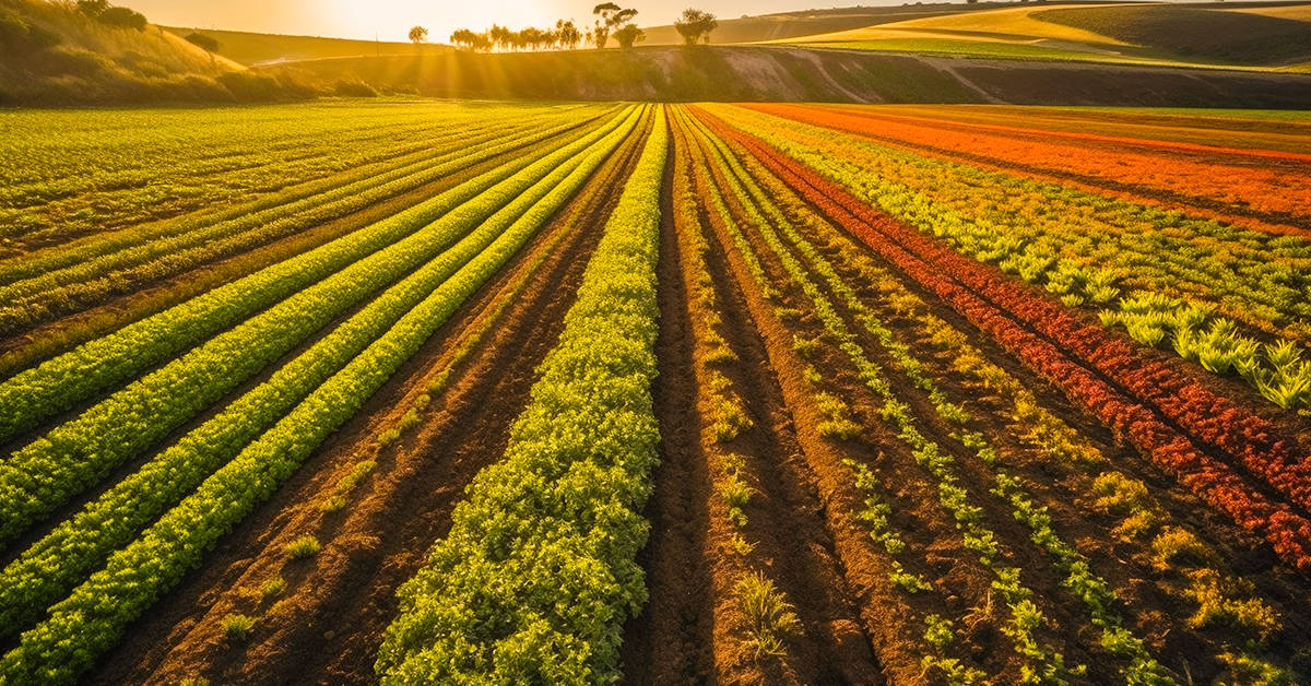 Conheça o HYPA®, fertilizante que auxilia as plantas na tolerância ao estresse hídrico