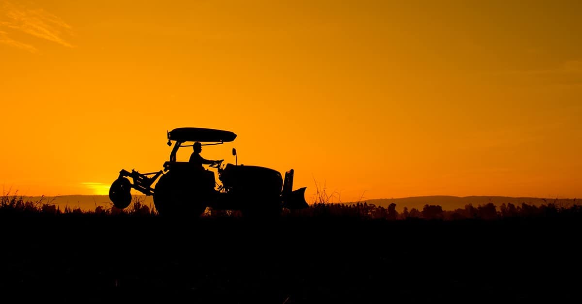 El Niño: qual o impacto desse fenômeno na safrinha?