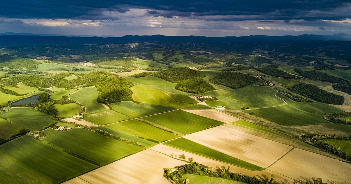 Veja os textos publicados no Blog da Verde Agritech na semana do dia 18/12 a 22/12! - Veja os textos publicados no Blog da Verde Agritech na semana do dia 18 12 a 22 12