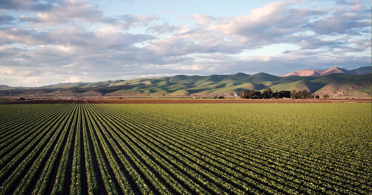 Veja os textos publicados no Blog da Verde Agritech na semana do dia 19/02 a 23/02!