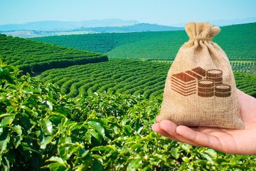 Índice Ipcf Indica Momento Favorável Para Compra De Fertilizantes: Saiba A Importância Disso