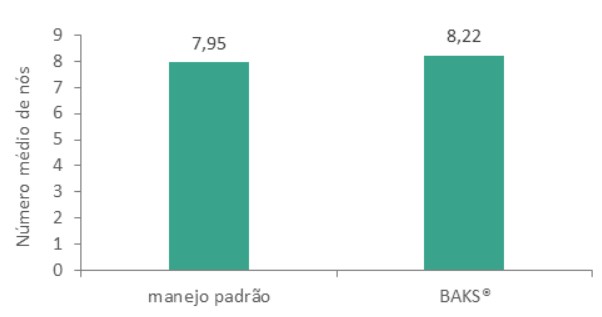 O BAKS® ajudou no bom desenvolvimento dos nós do cafeeiro