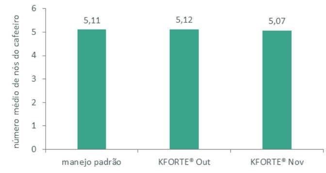 O KFORTE® ajudou no bom desenvolvimento dos nós do cafeeiro