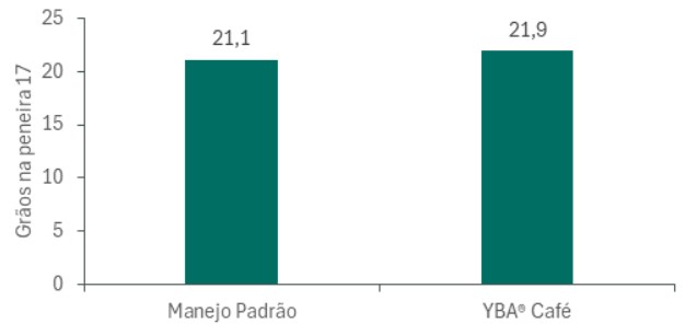 O YBA® Café proporcionou bons resultados na peneira média do cafeeiro