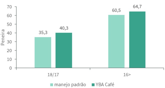 O YBA® Café proporcionou um número maior de grãos com peneira acima de 16