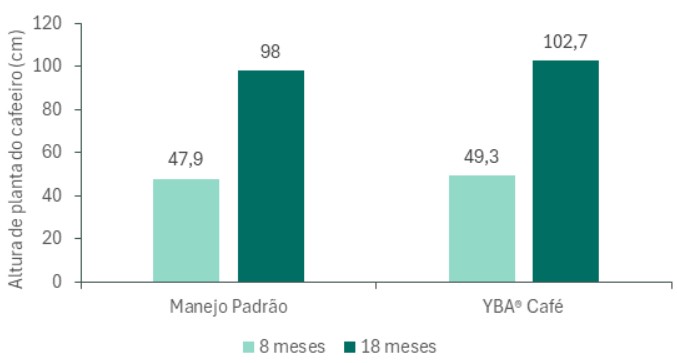 O YBA® Café trouxe bons resultados na altura da planta de café