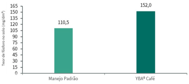 O teor de fósforo no solo com o YBA® Café foi superior ao obtido com manejo padrão