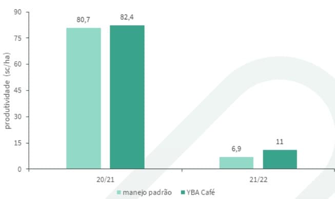 Resultados Do Yba® Café Comparados Ao Manejo Padrão