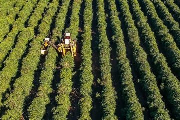 Veja os textos publicados no Blog da Verde Agritech na semana do dia 06/05 a 10/05!