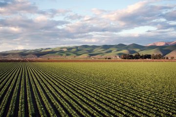 Veja os textos publicados no Blog da Verde Agritech na semana do dia 13/05 a 17/05! - Veja os textos publicados no Blog da Verde Agritech na semana do dia 13 05 a 17 05