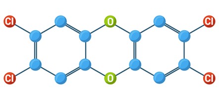 Estrutura química da molécula da 2,3,7,8-Tetraclorodibenzo-p-dioxina, a molécula de dioxina mais tóxica, que contém quatro átomos de cloro