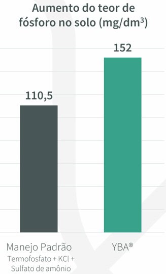 A tecnologia P.Enhancer ajudou a promover um aumento dos teores de fósforo em relação ao manejo convencional