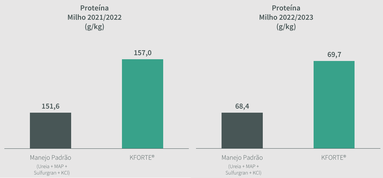 Melhorias dos teores de proteína do milho proporcionadas pelo KFORTE® em comparação com o manejo convencional