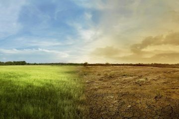 Previsão de tempo seco quente do Paraná ao Matopiba: como a adubação ajuda a lidar com os riscos do clima na agricultura?