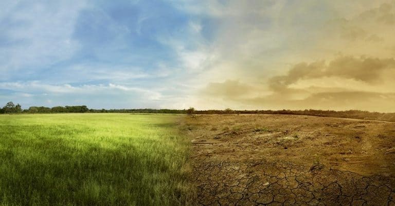 Previsão de tempo seco quente do Paraná ao Matopiba: como a adubação ajuda a lidar com os riscos do clima na agricultura?