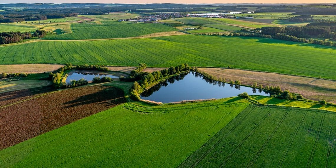 Veja os textos publicados no Blog da Verde Agritech na semana do dia 19/08 a 23/08!