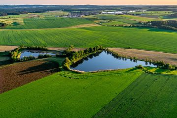 Veja os textos publicados no Blog da Verde Agritech na semana do dia 19/08 a 23/08!