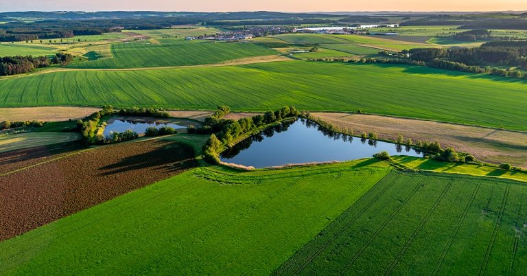 Veja os textos publicados no Blog da Verde Agritech na semana do dia 19/08 a 23/08!