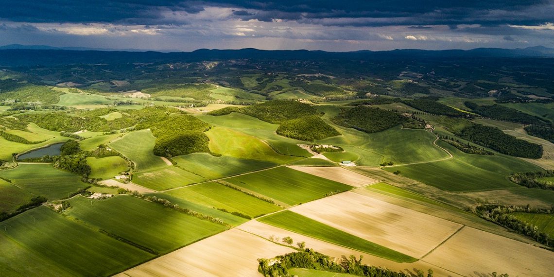 Veja os textos publicados no Blog da Verde Agritech na semana do dia 09/09 a 13/09!