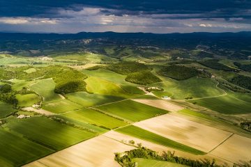 Veja os textos publicados no Blog da Verde Agritech na semana do dia 09/09 a 13/09!