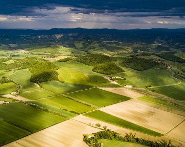 Veja os textos publicados no Blog da Verde Agritech na semana do dia 09/09 a 13/09!