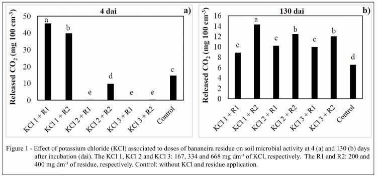 Interação do cloreto de potássio com a atividade microbiana, observada através da liberação de CO2