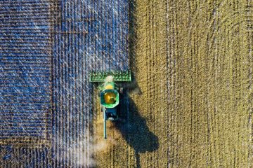 Veja os textos publicados no Blog da Verde Agritech na semana do dia 07/10 a 11/10!