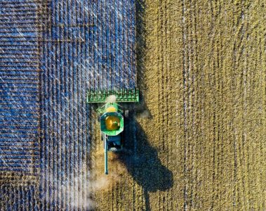 Veja os textos publicados no Blog da Verde Agritech na semana do dia 07/10 a 11/10!