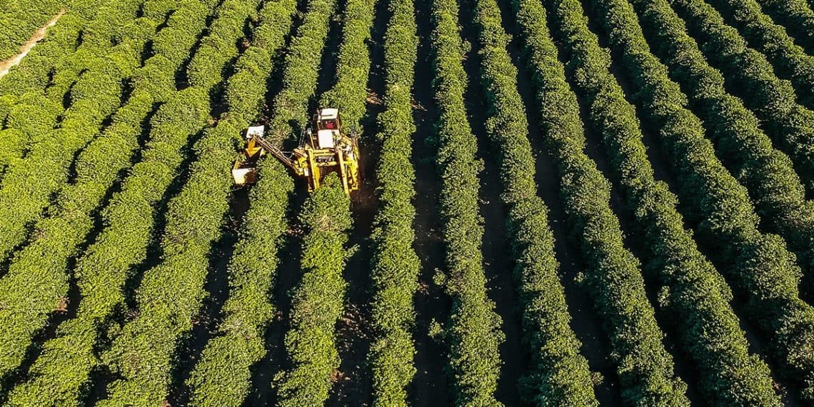 Veja os textos publicados no Blog da Verde Agritech na semana do dia 18/11 a 22/11!