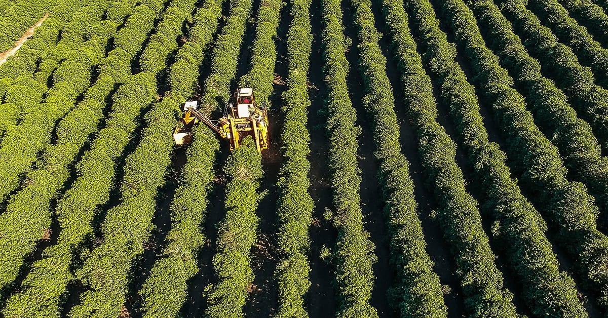 Veja os textos publicados no Blog da Verde Agritech na semana do dia 18/11 a 22/11!