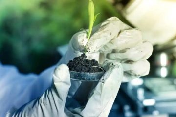 Verde Agritech está entre as 100 melhores iniciativas de remoção de carbono da XPRIZE Carbon Removal