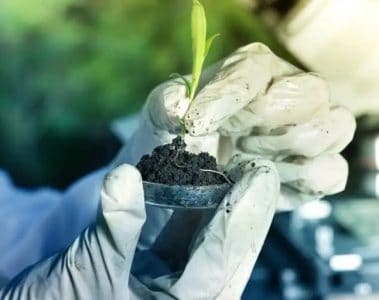 Verde Agritech está entre as 100 melhores iniciativas de remoção de carbono da XPRIZE Carbon Removal